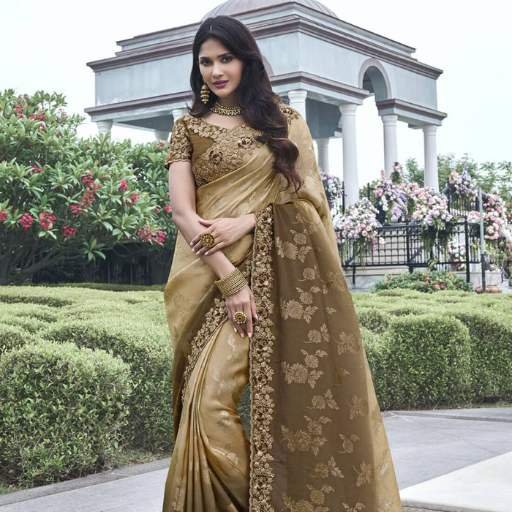 Tissue Silk Premium Work Saree